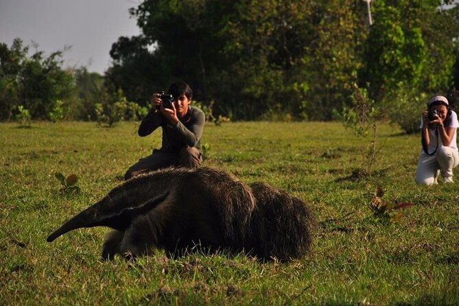 5-nights-private-pantanal-and-bonito-wild-nature-adventure