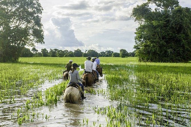 5-nights-private-pantanal-and-bonito-wild-nature-adventure