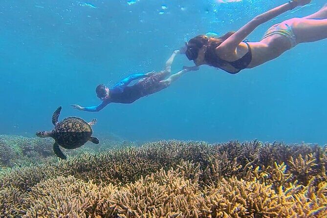 5 Secret Gili Snorkeling & Hoping Island from Gili Gede to Asahan - Detailed Breakdown of the Itinerary and Experience
