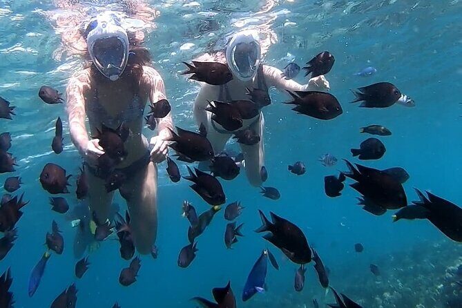 5 Secret Gili Snorkeling & Hoping Island from Gili Gede to Asahan - Practical Considerations