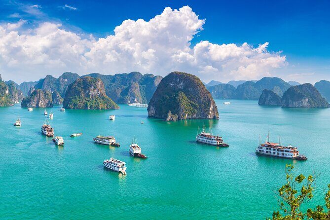 5-Star Halong Bay Day Cruise Limousine, Kayak & Seafood Lunch - Who This Tour Is Best For