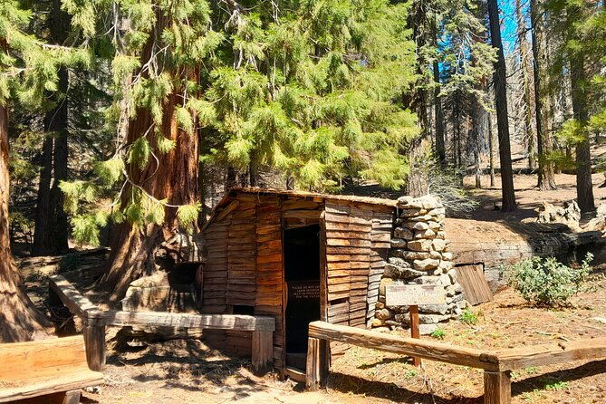 5-star-rated-sequoia-national-park-tour