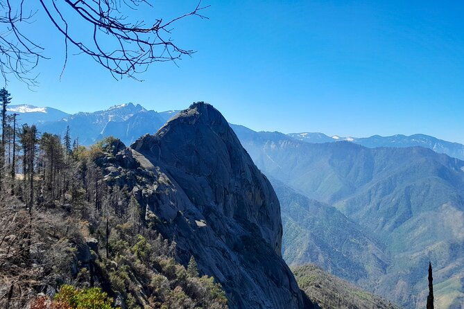 5-star-rated-sequoia-national-park-tour