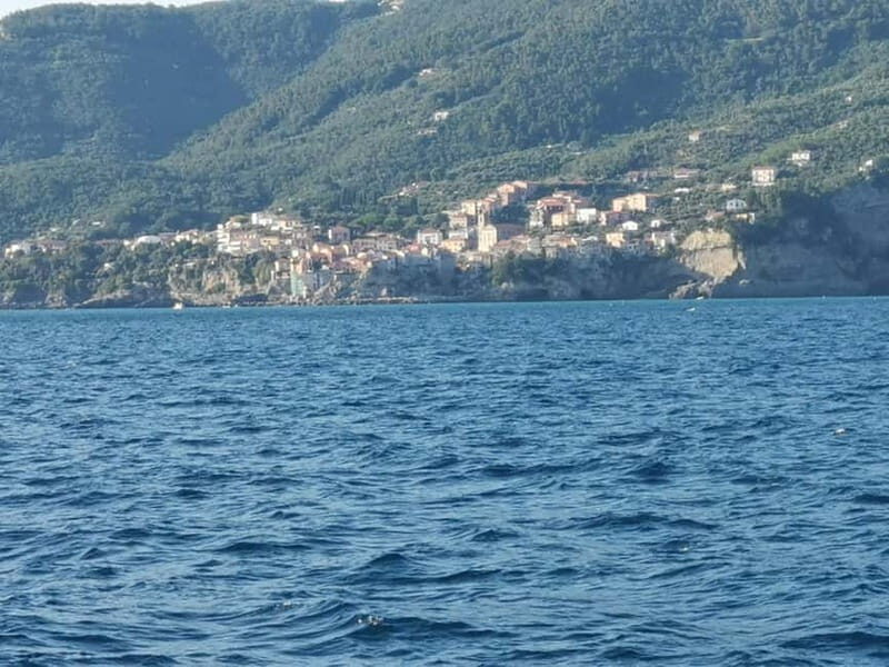 5 TERRE PRIVATE BOAT TOUR WITH SKIPPER - Value and Practical Considerations