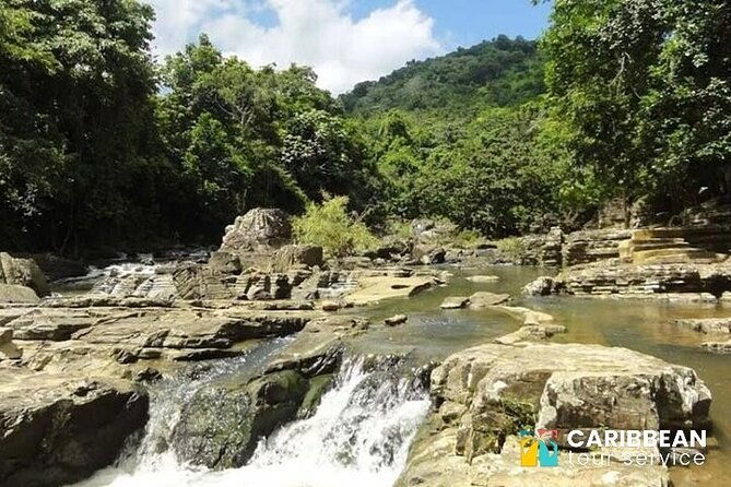 5-tours-in-1-eco-farm-horseback-city-tour-buggy-zipline