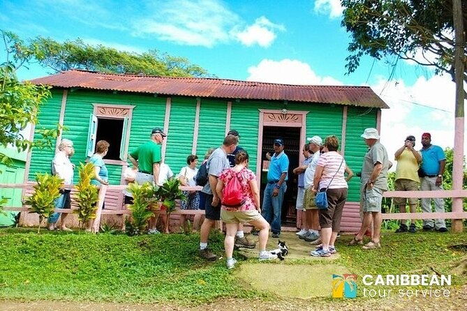 5-tours-in-1-eco-farm-horseback-city-tour-buggy-zipline