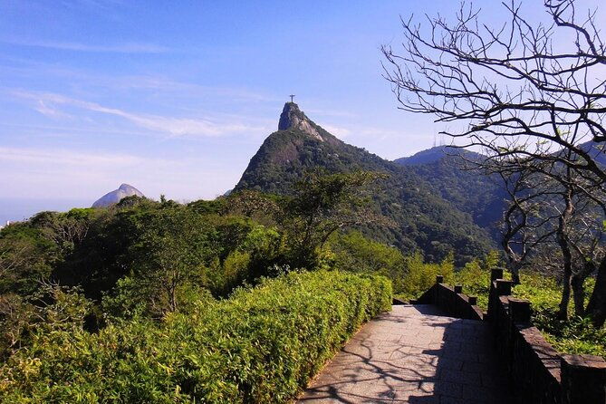 5-viewpoints-of-rio-by-alan-denis