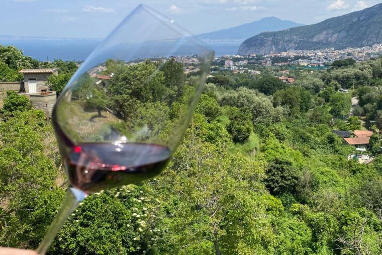 5-wine-tastings-with-typical-products-in-sorrento-coast-2