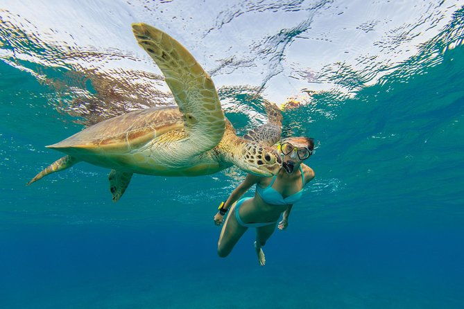 50-luxury-yacht-private-full-or-half-day-catamaran-snorkel-beach-experience