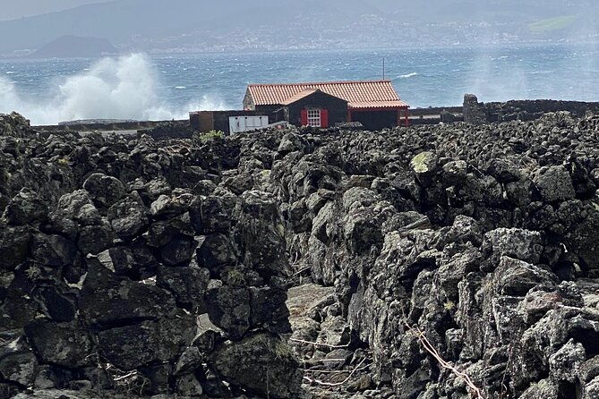 500-years-of-vines-and-300000-years-of-island-an-infinite-story