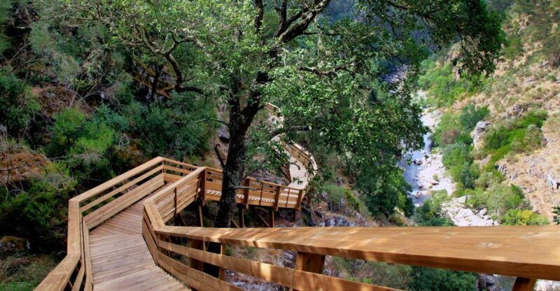 516-arouca-bridge-paiva-walkway-semi-private-tour
