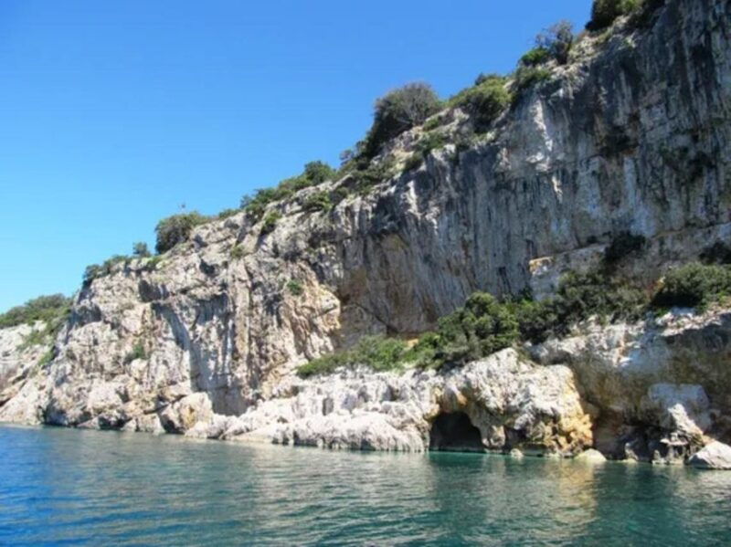 55h-plavnik-island-swim-snorkel-with-capt-boboprivate