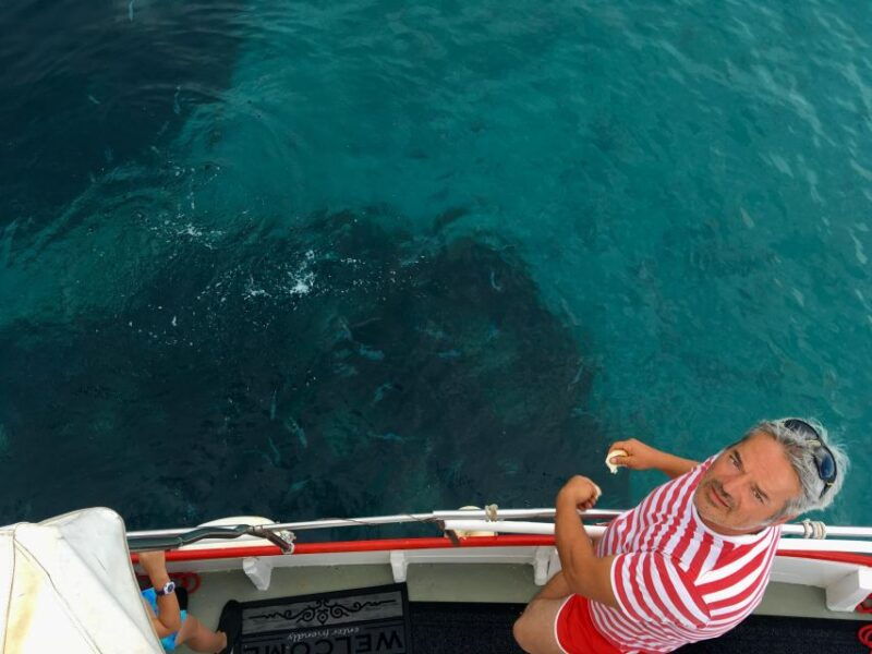 55h-plavnik-island-swim-snorkel-with-capt-boboprivate