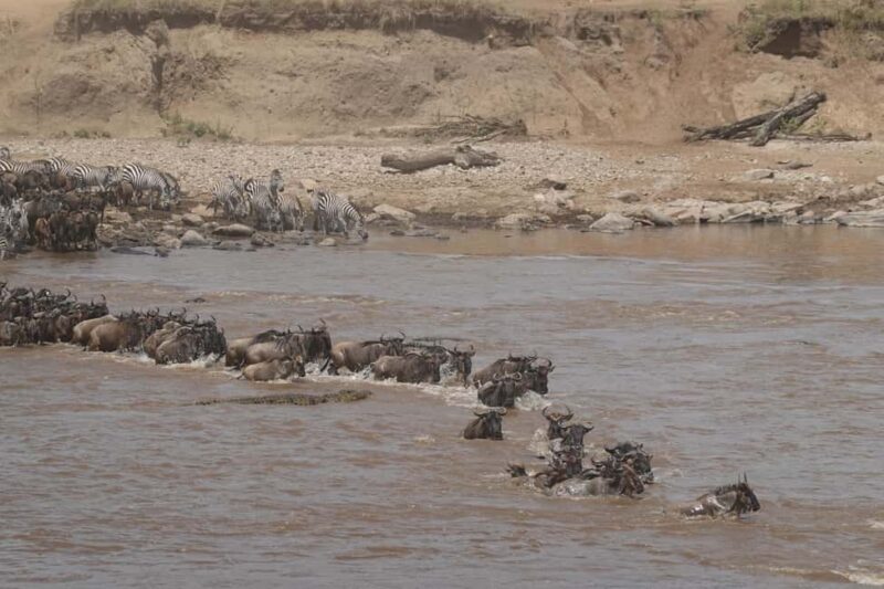 5Day of Wildlife Tarangire, Serengeti, Ngorongoro &Cultural - Price and Value: Is It Worth It?