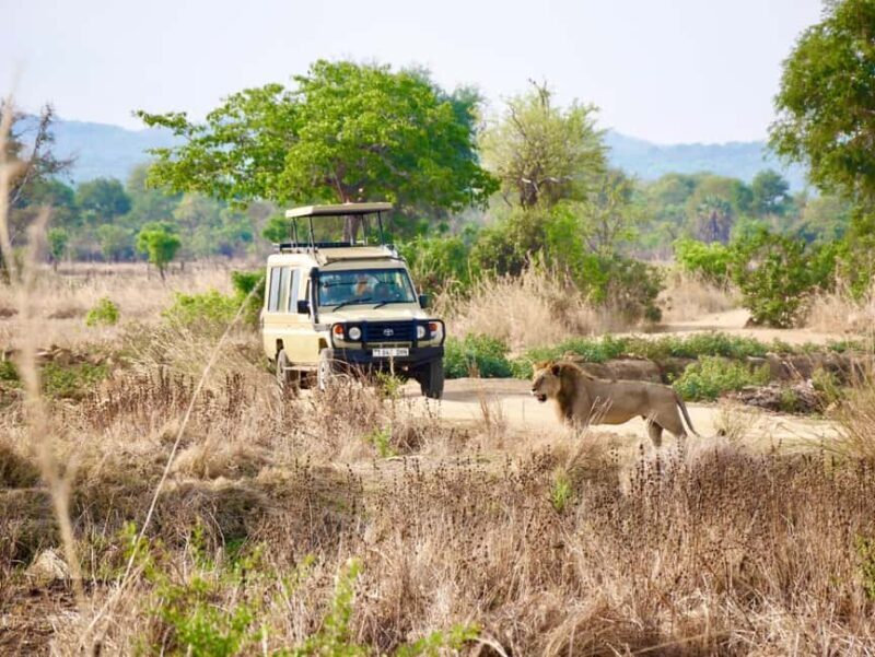 5days 4nights Uncover the Hidden Treasure of Southern Safari - Exploring the Itinerary: What You Can Expect