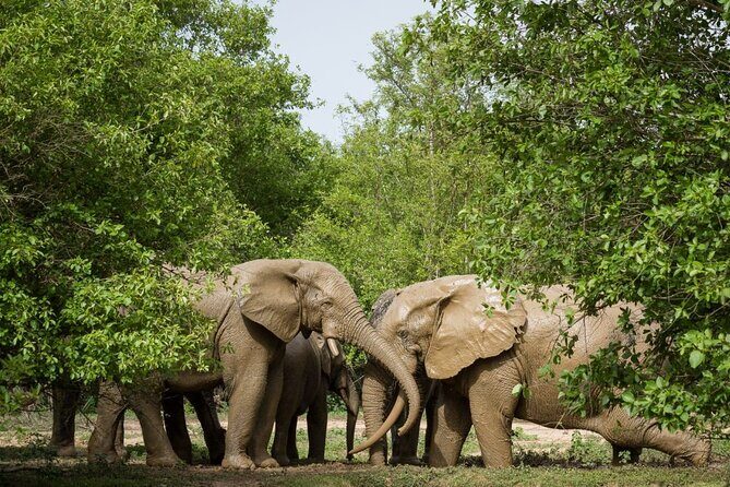 5Days Ghana Safari Tour - Key Points
