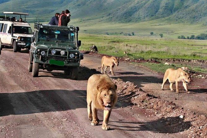 5Days Tanzania Camping Safari to Lake Manyara Serengeti And Ngorongoro Crater from Arusha - Practical Tips for Booking and Preparation