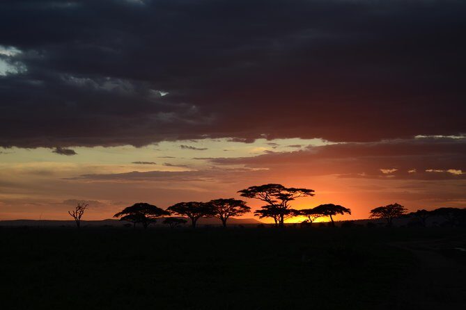 5days Tanzania Safari lodge and camping Serengeti, Tarangire & Ngorongoro Crater - Who Is This Safari Best For?  