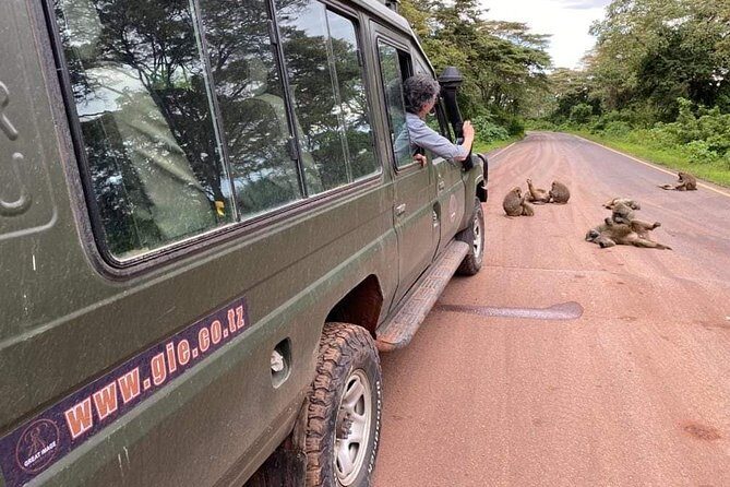 5days Tarangire,Serengeti,ngorongoro Crater and Lake Manyara National park - An In-Depth Look at the 5-Day Itinerary