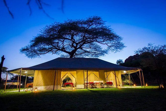 5days Tarangire,Serengeti,ngorongoro Crater and Lake Manyara National park - Final Thoughts: Is This Safari Right for You?