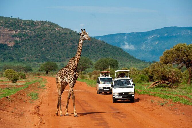 5days Tour Tsavo East & west, Amboseli from Mombasa / Nairobi - Who Is This Tour Best For?