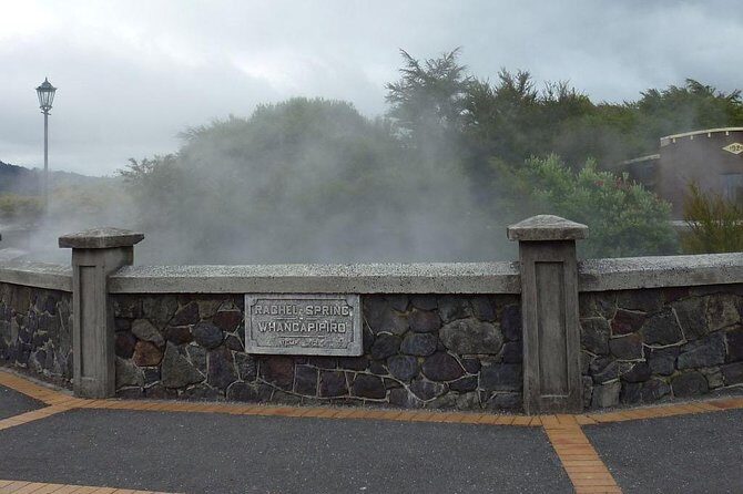 6.5 hour Small-Group Rotorua Naturally Shore Excursion - Tauranga - The Itinerary in Detail