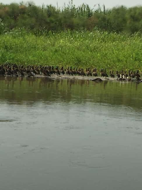6 Day 5 Night Mundari and Dinka tribe & Sudd Swamp Tour - Practical Considerations