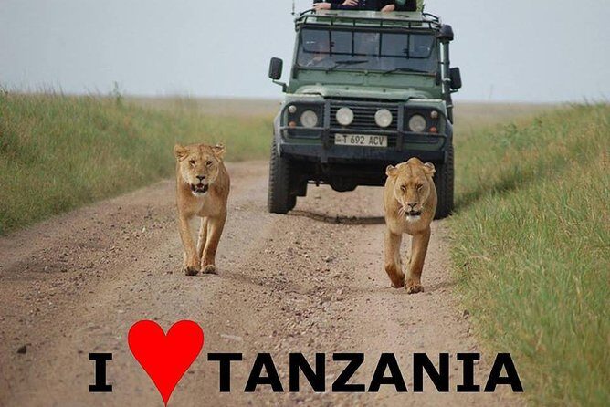 6- Day Adventure Lodge safari to see Migration - What Travelers Say
