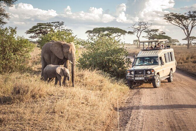6- Day Adventure Lodge safari to see Migration - The Value of This Safari