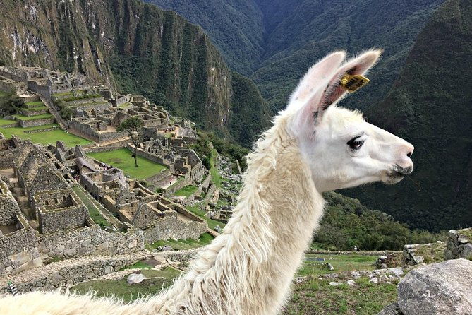 6-day-all-included-cusco-machupichu-maras-moray-humantay-private