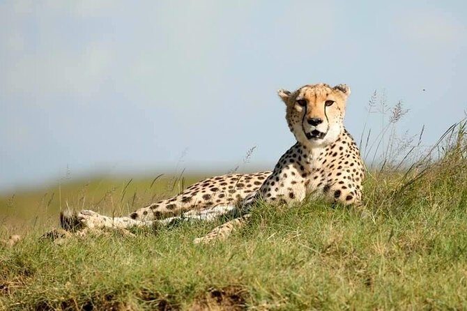 6-Day Big Five Magic Safari Tour - Exploring the Itinerary in Detail