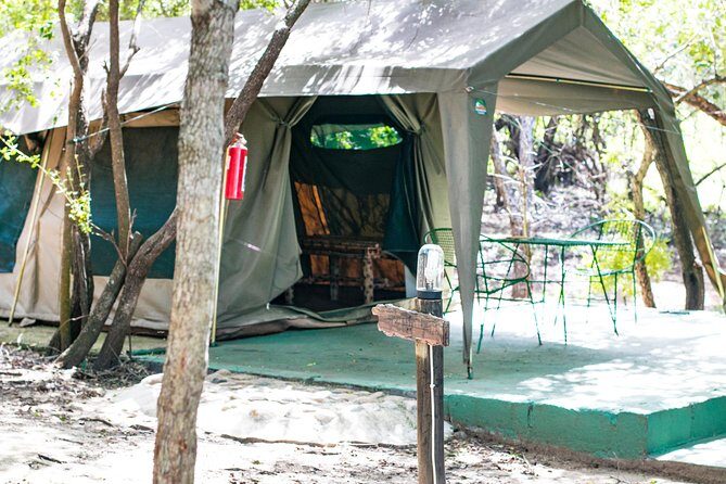 6 Day Budget Kruger National Park Safari - Exploring the Itinerary in Detail