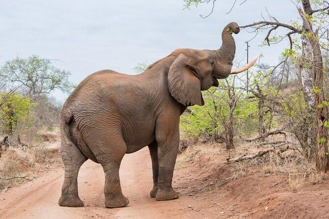 6-Day Budget Lodge Safari in Tanzania - Who Will Love This Safari?
