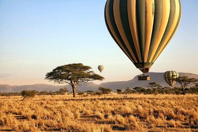 6-Day Budget Lodge Safari in Tanzania - The Sum Up