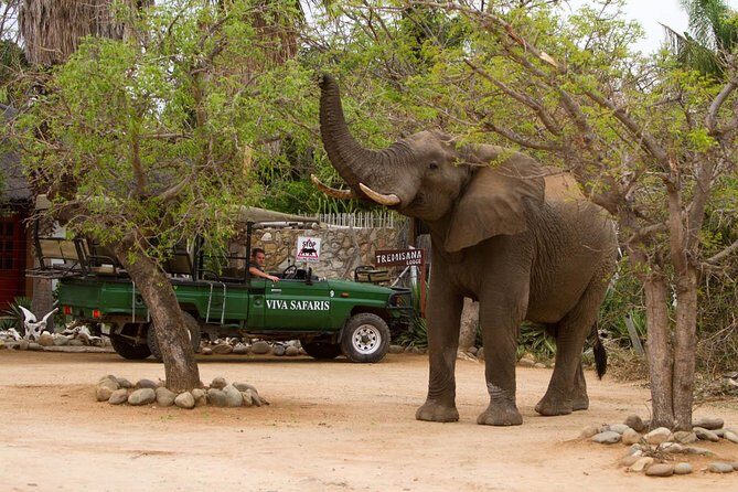 6 Day Classic Kruger National Park Safari from Johannesburg - Final Thoughts