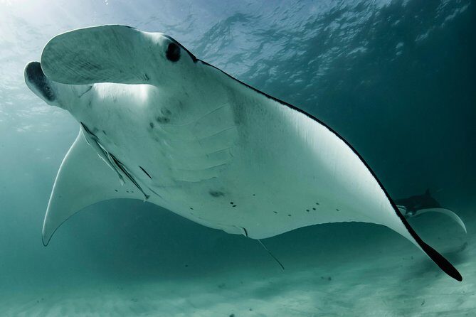 6-Day Coral Coaster from Perth to Exmouth One-Way via Monkey Mia Ningaloo Reef - Who Should Book This Tour?