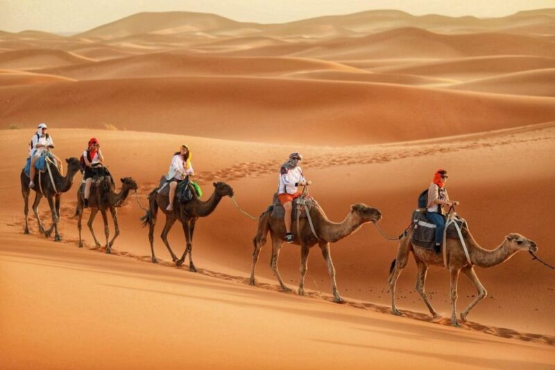 6-Day Desert Tour from Marrakech to Tangier - Final Thoughts: Who Should Consider This Tour?