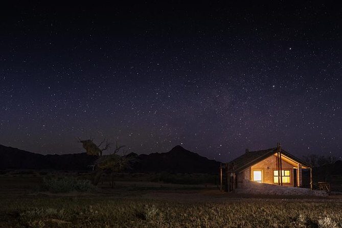 6-Day Dunes and Wildlife Accommodated Safari from Windhoek - Day 1 & 2: Etosha National Park’s Wildlife Wonderland