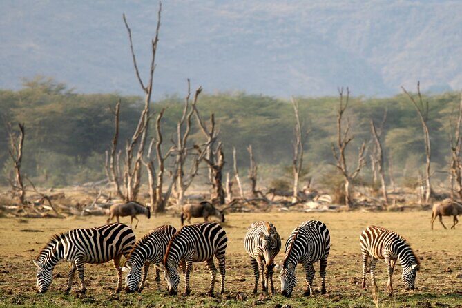6 Day: Epic Northern Safari - Who Will Love This Tour?