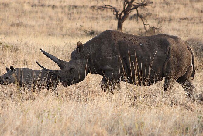 6 Day: Epic Northern Safari - An In-Depth Look at the Itinerary