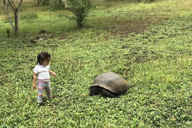 6-day-galapagos-island-hopping-kayaking-mountain-biking-and-volcano-hike