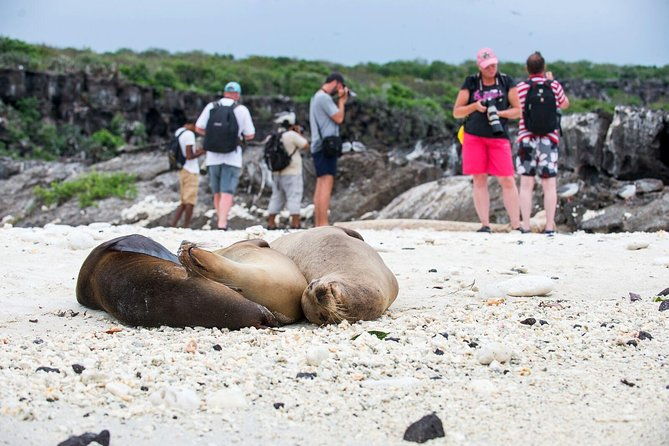 6-day-galapagos-island-hopping-kayaking-mountain-biking-and-volcano-hike