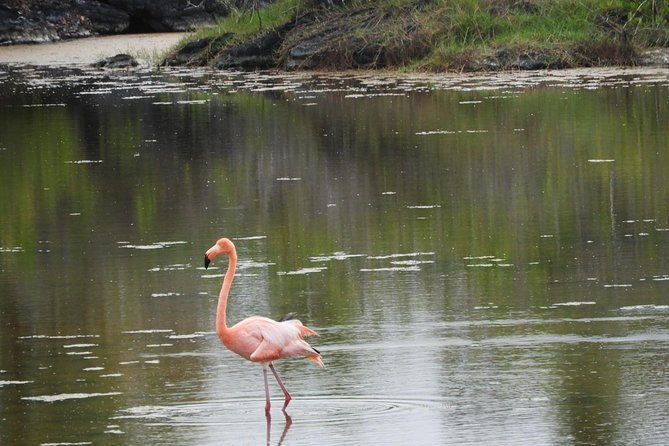 6-day-galapagos-island-hopping-tour-santa-fe-santa-cruz-and-los-tuneles