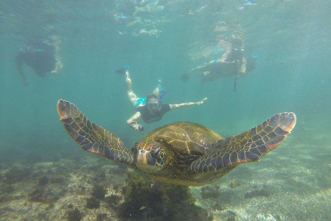 6-day-galapagos-island-hopping-tour-santa-fe-santa-cruz-and-los-tuneles