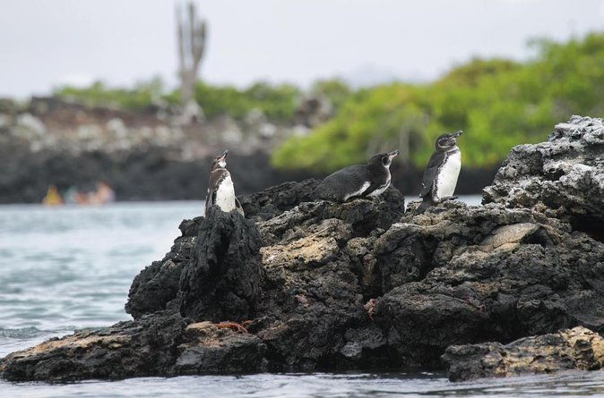 6-day-galapagos-on-a-budget-experience