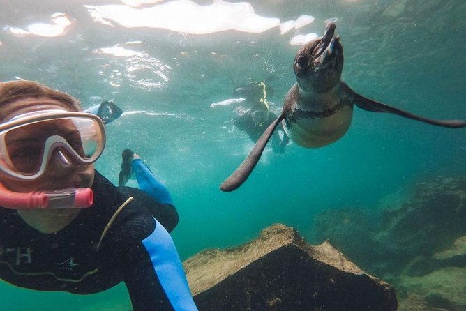 6-day-galapagos-on-a-budget-experience