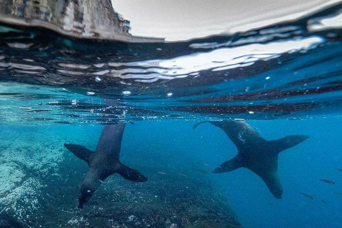 6-day-galapagos-on-a-budget-experience