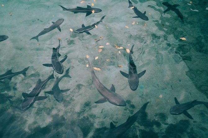 6-day-galapagos-on-a-budget-experience