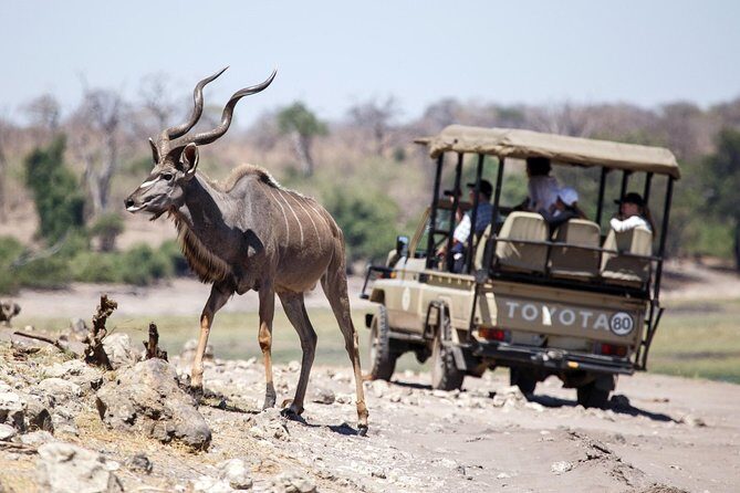 6-day Hwange, Chobe & Victoria Falls Combo - Who Will Love This Tour?