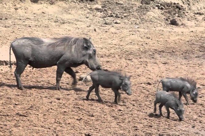 6-Day Kenya and Tanzania safari - FAQ